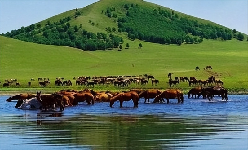 内蒙白酒都有哪些,最好喝的内蒙草原白酒是哪款