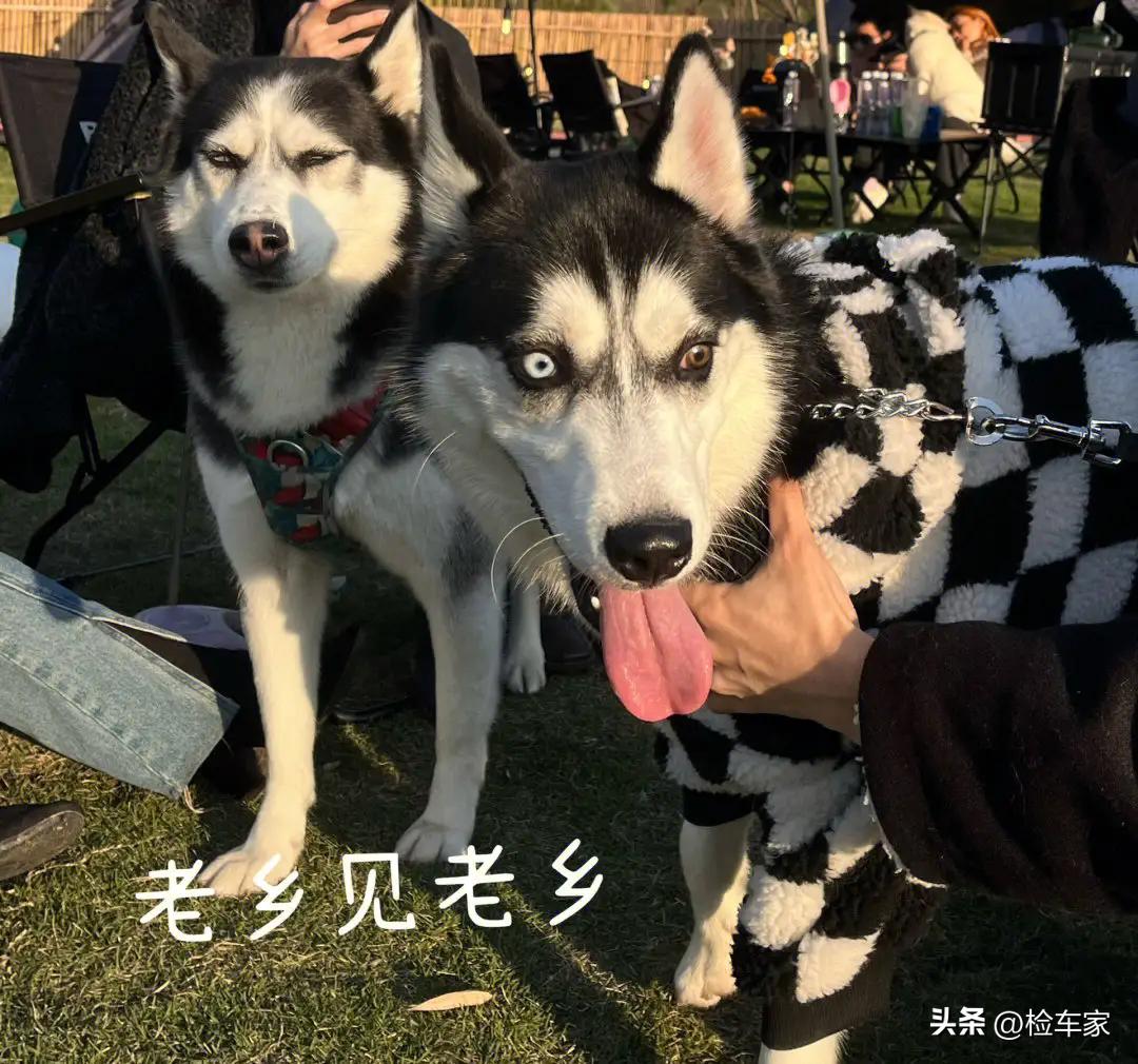 15万存款买宝马3系,25万买二手宝马3系值得吗