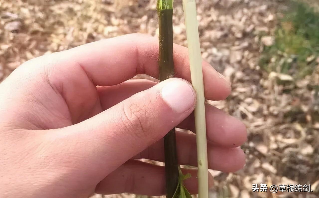 童年中哪些游戏最好玩儿,童年时代想怎么玩就怎么玩