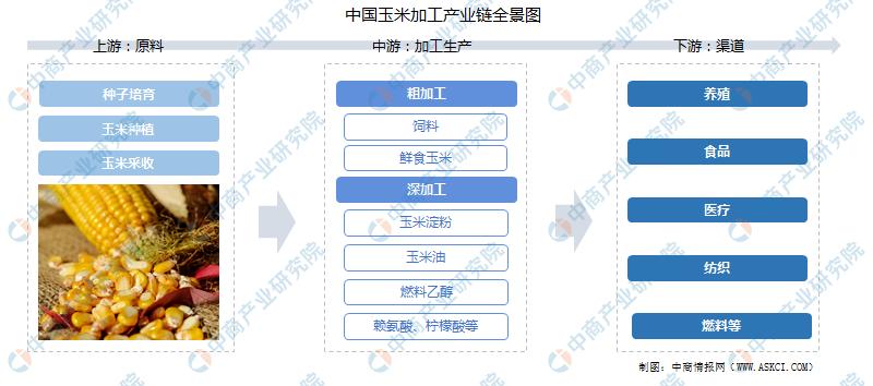 中国农产品精深加工,中国农产品加工项目