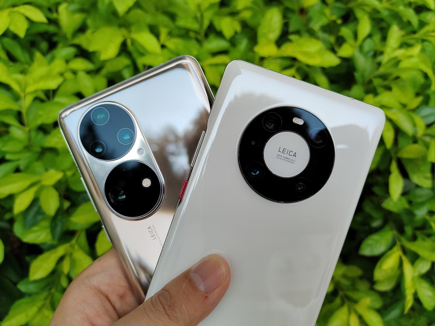 五g手机用4g卡支持5g网络吗,4g卡5g手机可以用5g网络吗