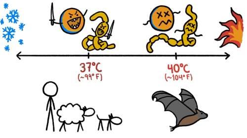 为什么动物喝脏水没事而人类有事,为什么野生动物可以喝泥巴水