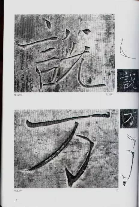 宸ョ瑪鐢绘潹鏅箟鐢诲唽,鏉滈箖鏉ㄦ櫘涔夊畬鏁寸増