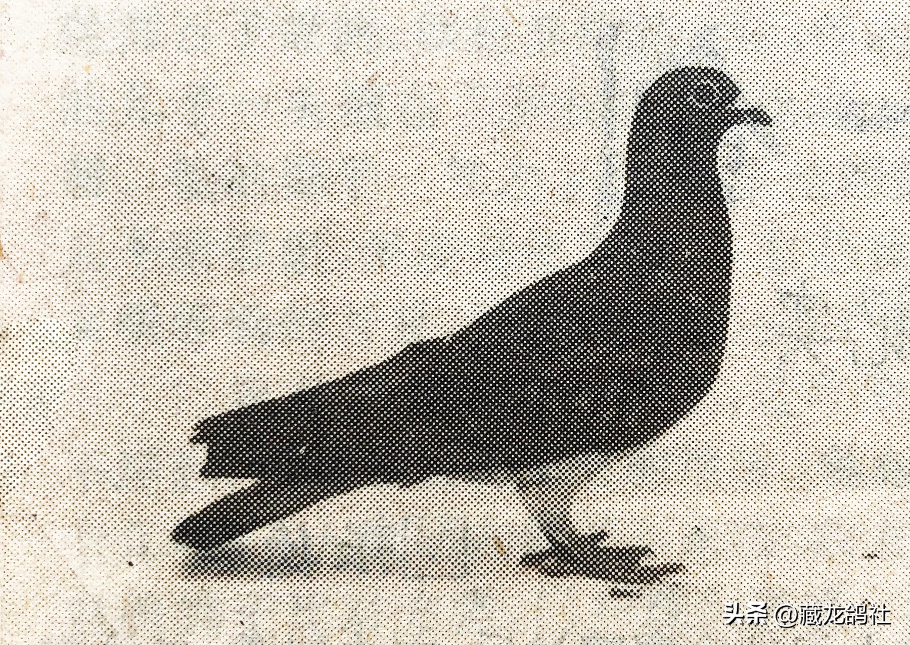 十年磨一剑研发海思芯片,十年磨一剑精心铸精品