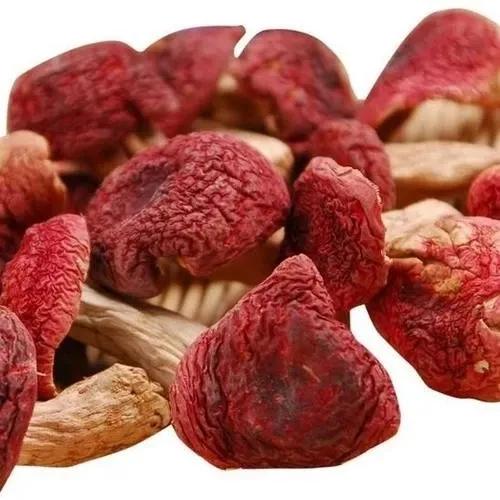 云南红菇好吃吗,云南山野红菇