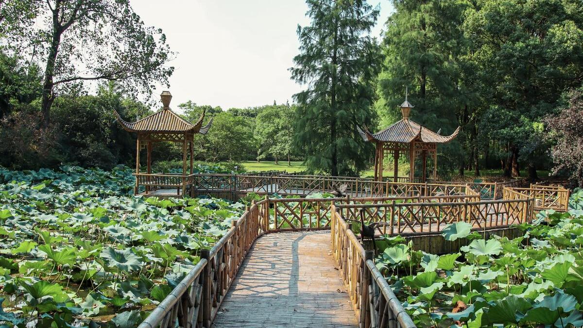 上海风景最美的公园,上海最好玩漂亮的七大公园