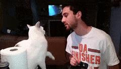 刚来的猫咪太粘人了怎么办,猫咪很黏主人是什么原因