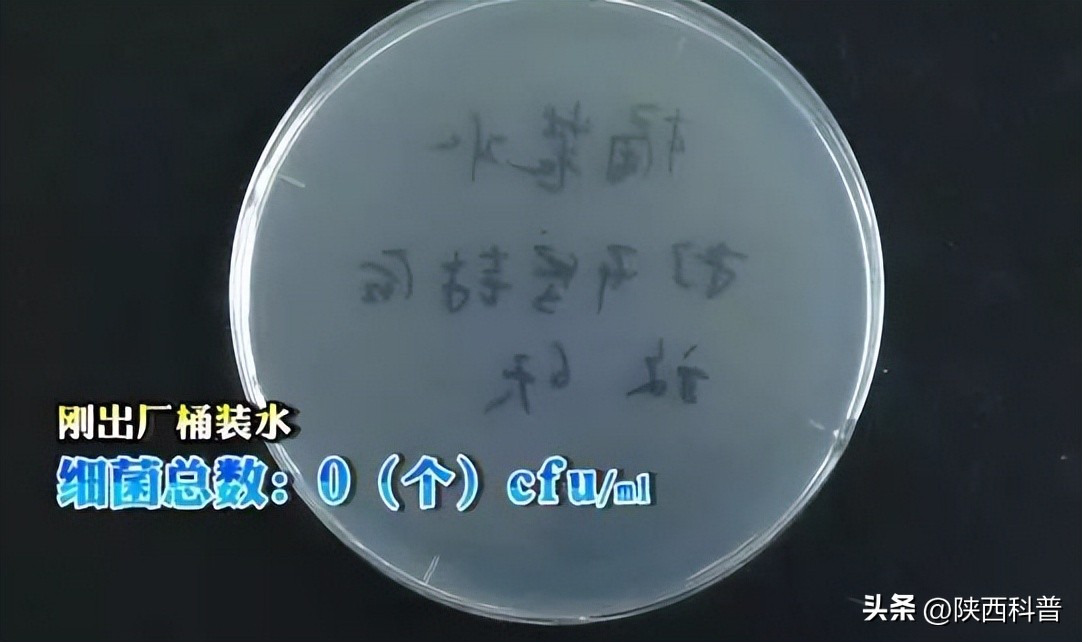 饮水机的水真的有那么脏吗,实测饮水机你想象不到的脏