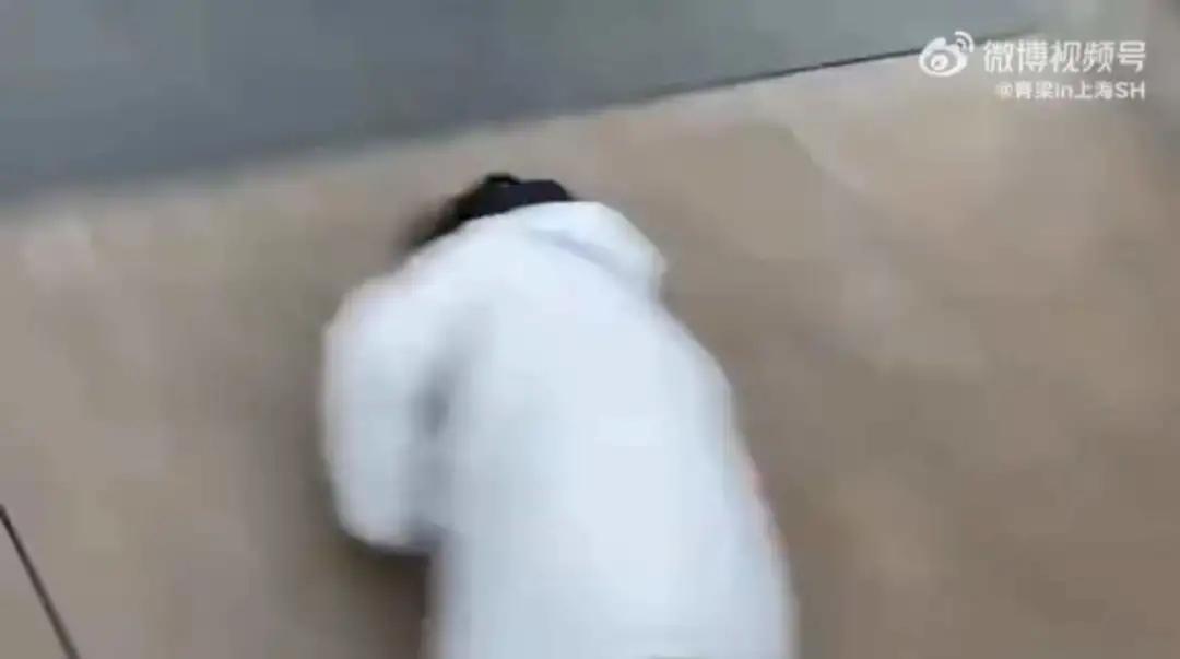 凌晨超5000人买迪士尼玩偶,凌晨3点超5000人迪士尼排队买玩偶