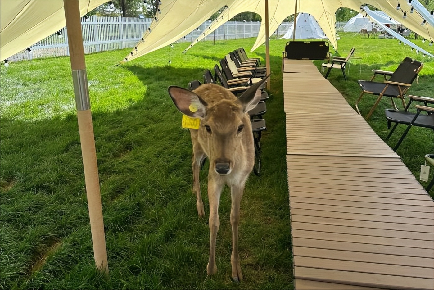 六一儿童节必打卡乐园推荐,儿童节打卡的好去处