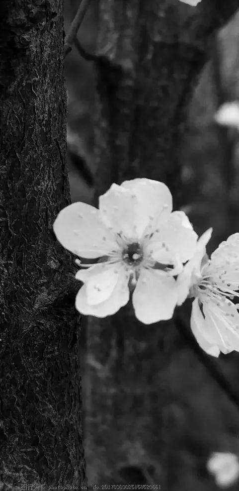 黑暗系壁纸黑底文字,黑暗色系的壁纸