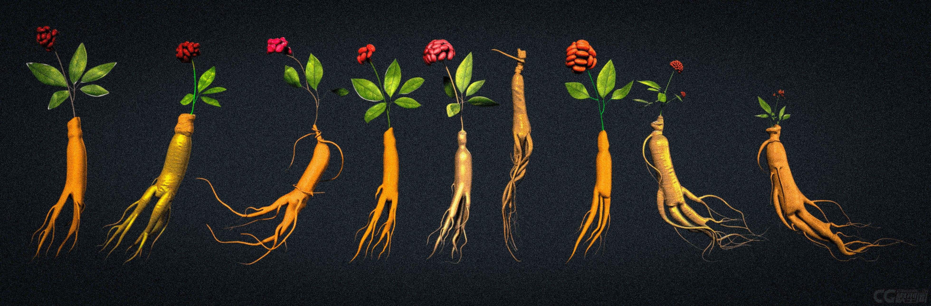 人参烟百草之王有药效吗,千年人参可以治疗癌症吗