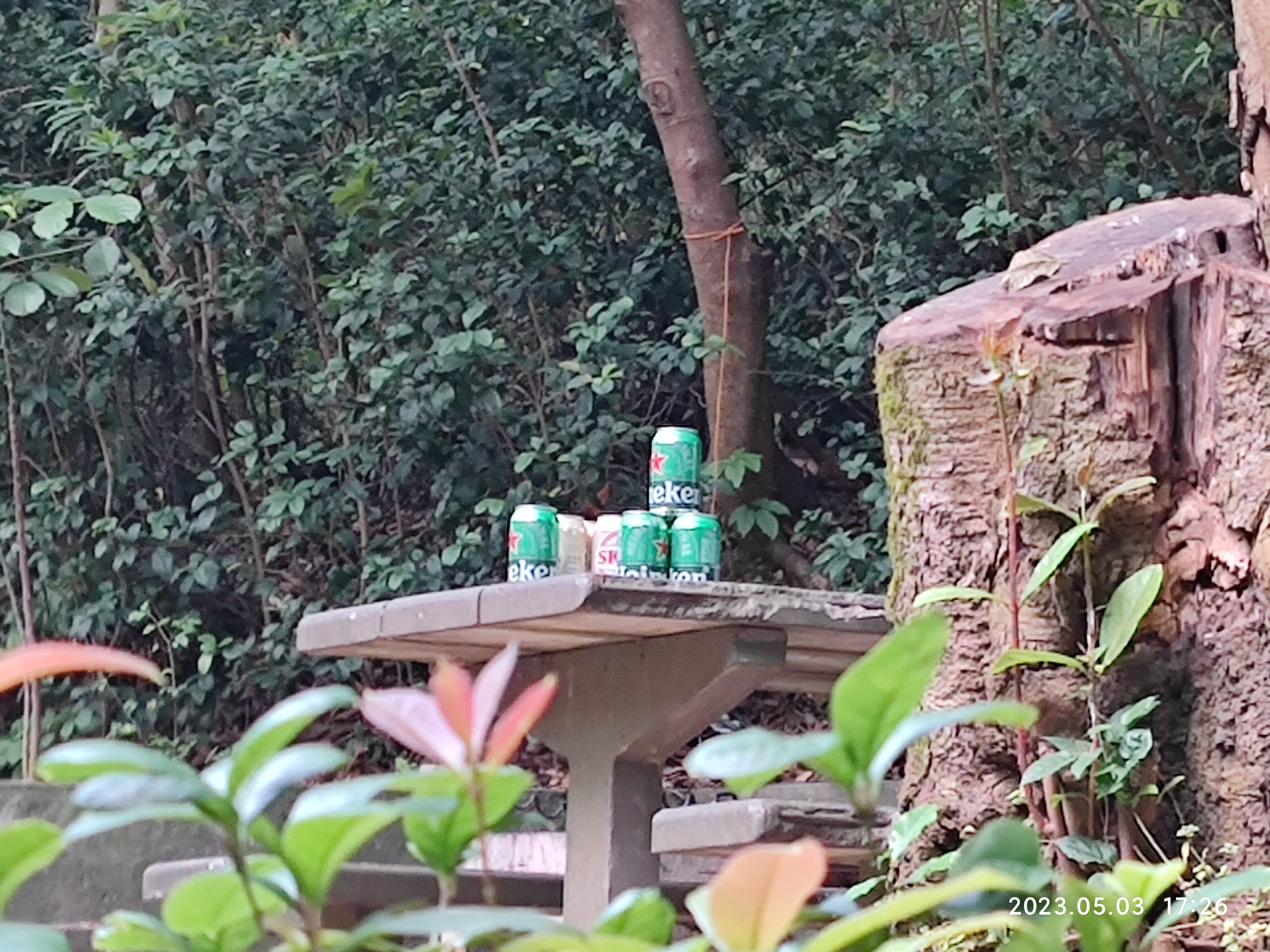 徒步香港大帽山,香港麦径徒步攻略