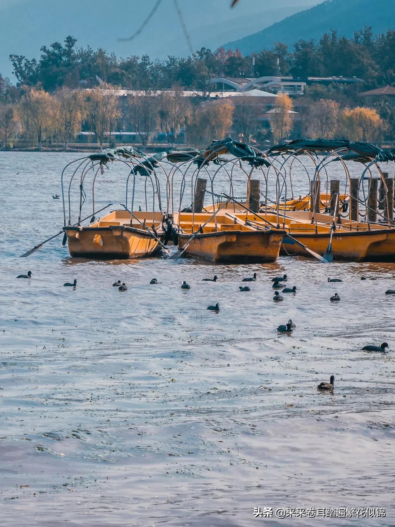 重庆自驾西昌邛海,西昌邛海环湖自驾游攻略