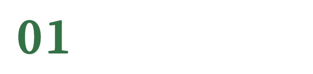 「探星人计划」兰溪这所学校的“特殊”孩子，值得被更多人看见