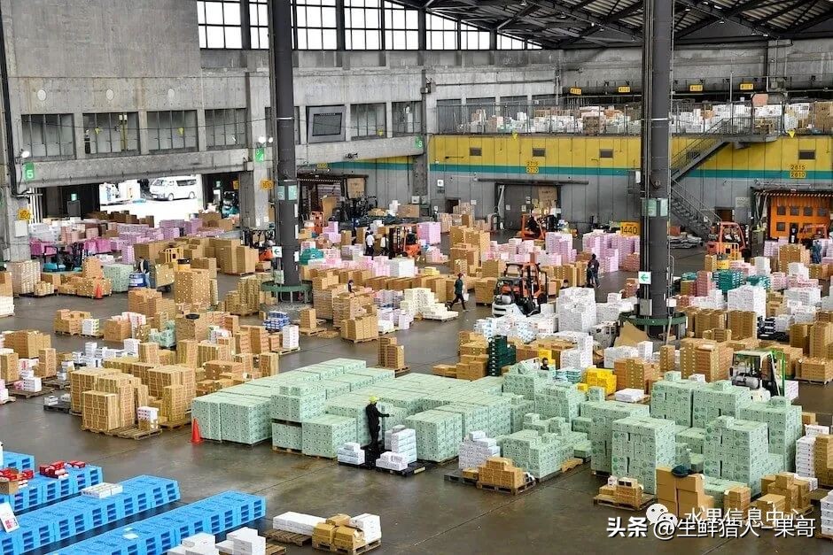 中国十大果蔬批发市场,全国十大蔬果批发市场