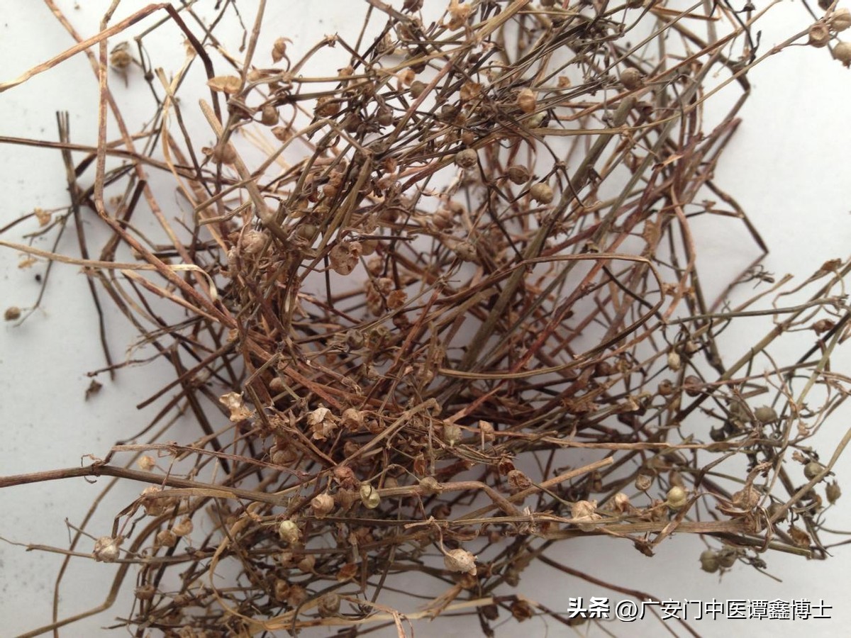 养生堂治疗肺癌中药方,治疗晚期肺癌中医有哪些临床验方