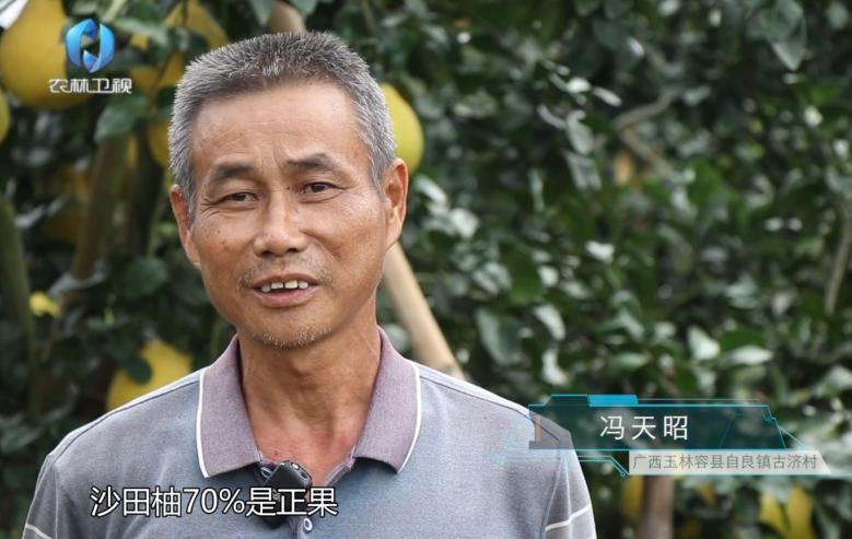 中海化学“增值沃土粮安中国万里行”||旱涝之年如何确保正果率