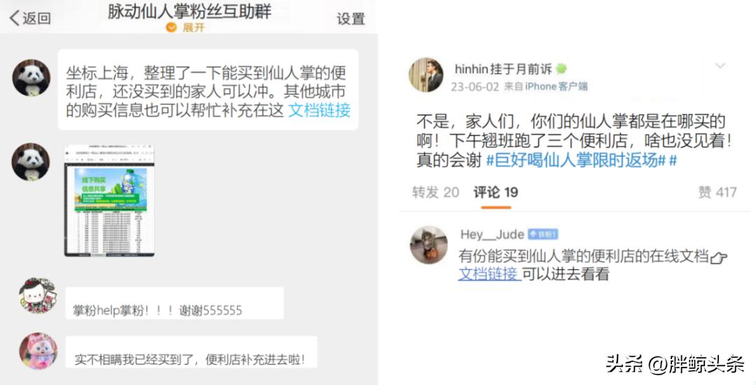 仙人掌味脉动讲解,仙人掌味的脉动原版