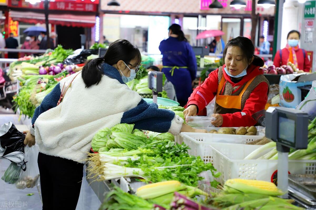 社区经济模式,社区经济发展的现实性与未来性