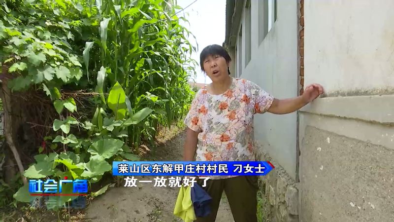 水质变浑,水质变清了是什么原因