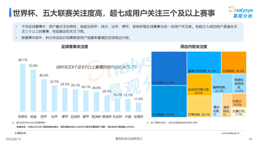 中国足球赛事预测,中国足球市场调查研究报告