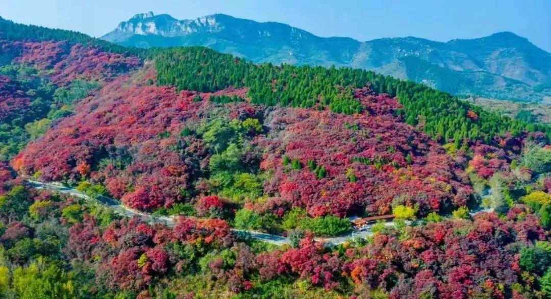 济南赏秋全攻略,秋天济南去哪里赏秋最好