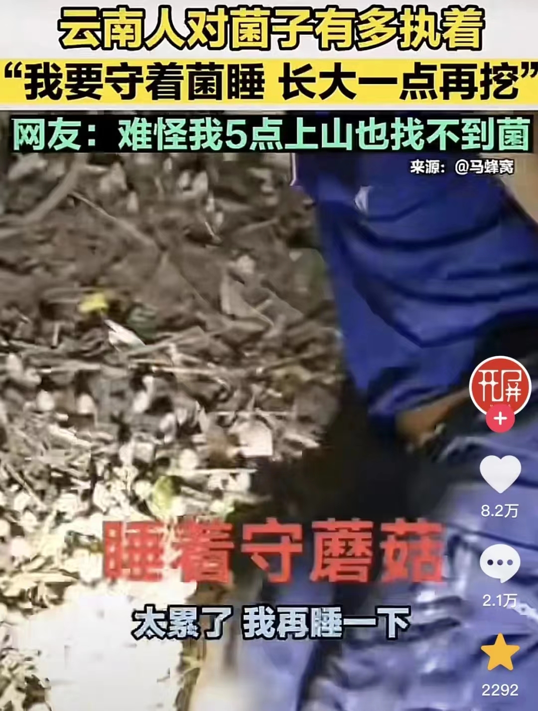 云南吃菌子吃完上头的感觉,云南人吃菌子的信号