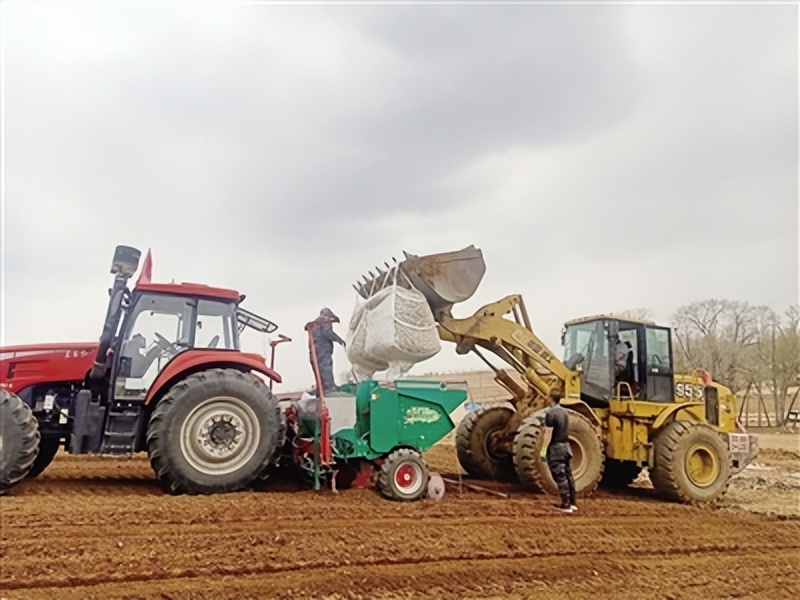 武川县土豆基地,2019年武川县种土豆