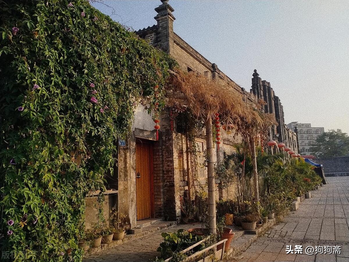 从底层开始小说,底层生活小说全集