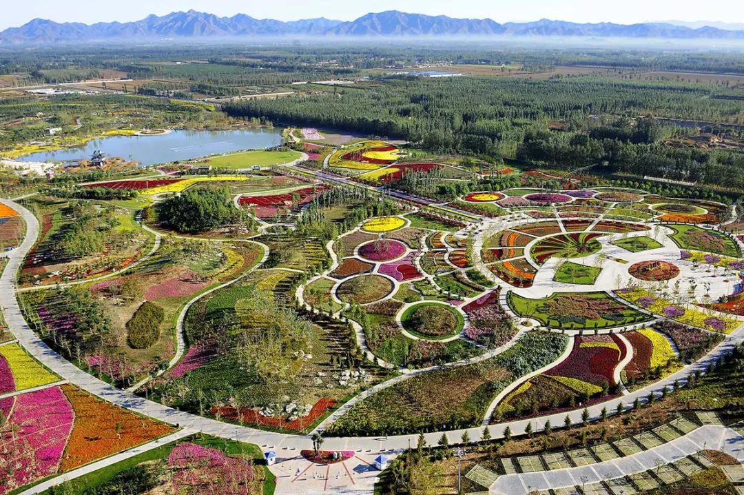 北京国际鲜花港,北京国际鲜花港点评