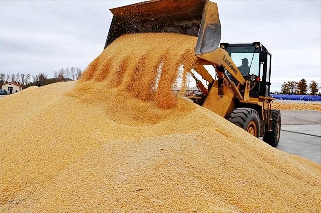巴西对中国出口大豆问题,巴西大豆对中国出口新政策