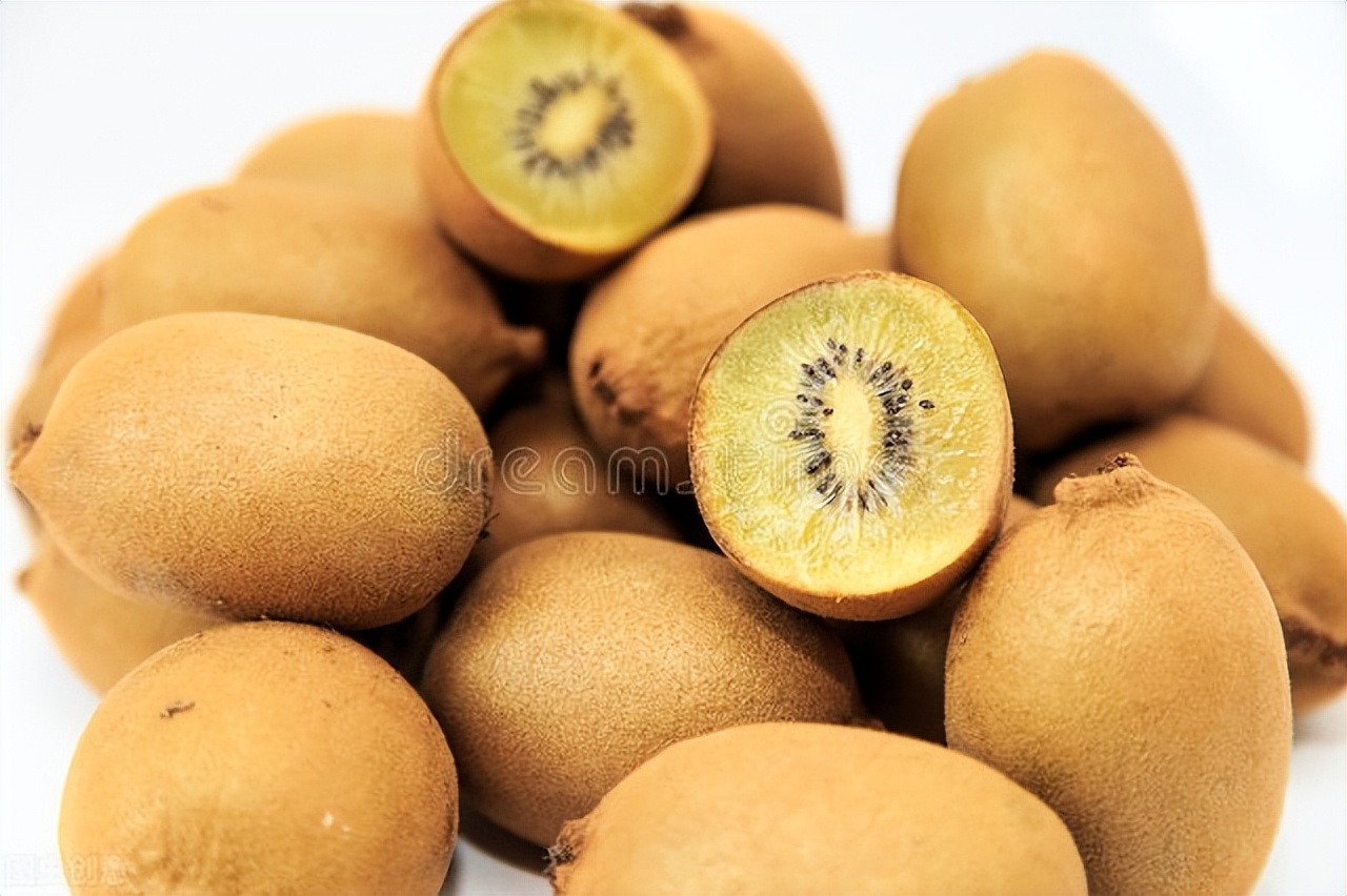 新西兰地理知识普及,新西兰的国内旅游知识