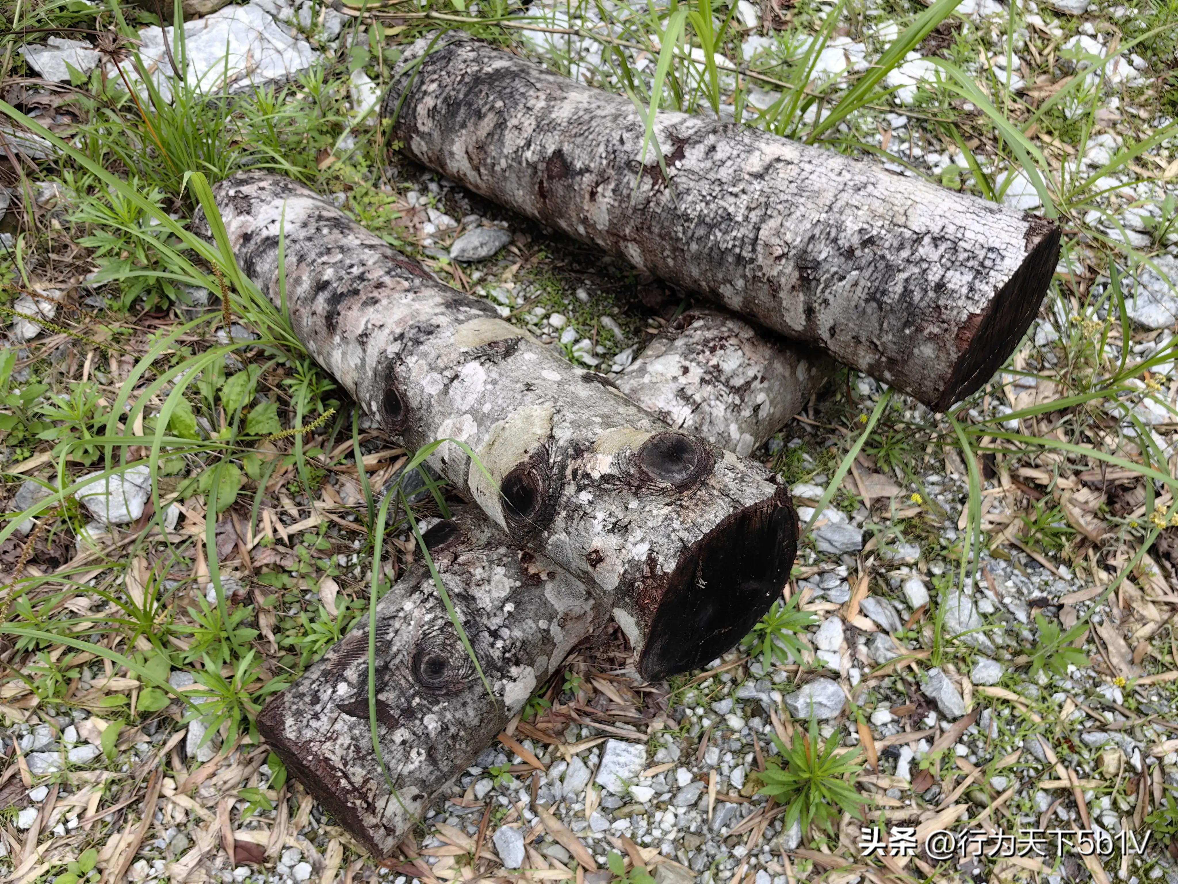 【探秘宛田红滩瀑布溯溪梦江吉翁瀑布】穿越花坪神秘风景线