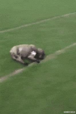 女生夏天穿靴子脚不臭吗,女生的脚和男生的脚哪个臭