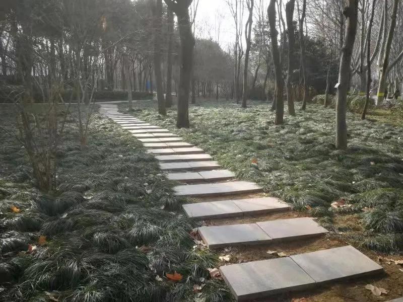 用心发现生活中的美景,用心发现美生活中处处是风景