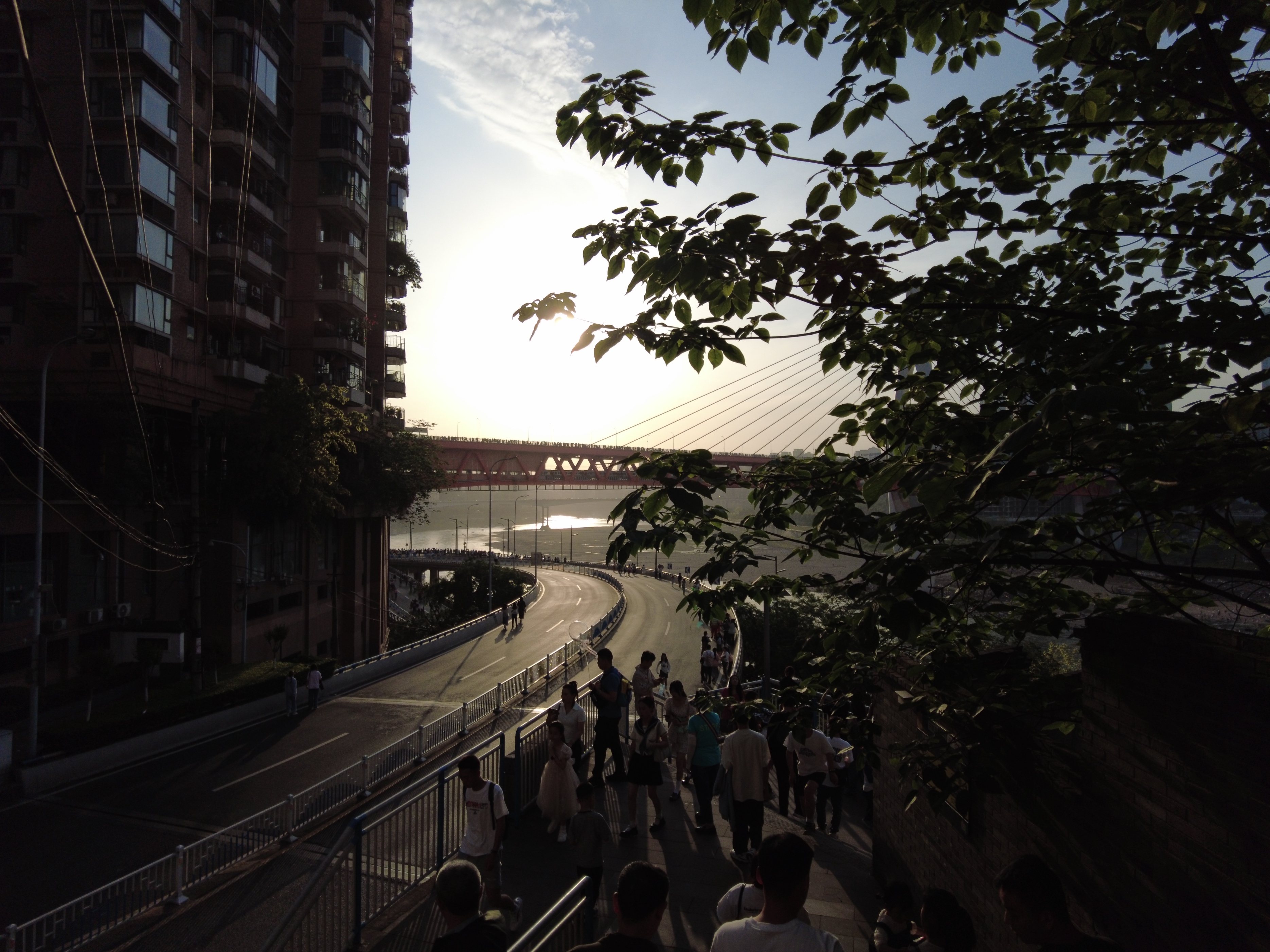 重庆封桥宠外地游客,重庆封桥封路方便游客