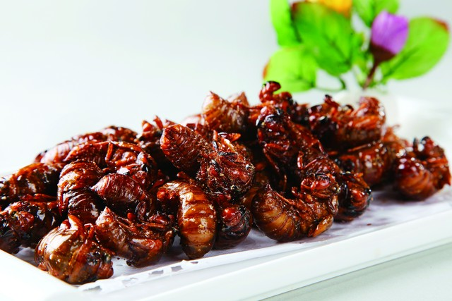 乡土散文消失的村庄,乡土散文朗诵