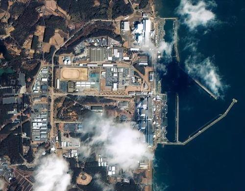 核辐射还敢吃韩国海苔吗,福岛民众监测海鱼核辐射