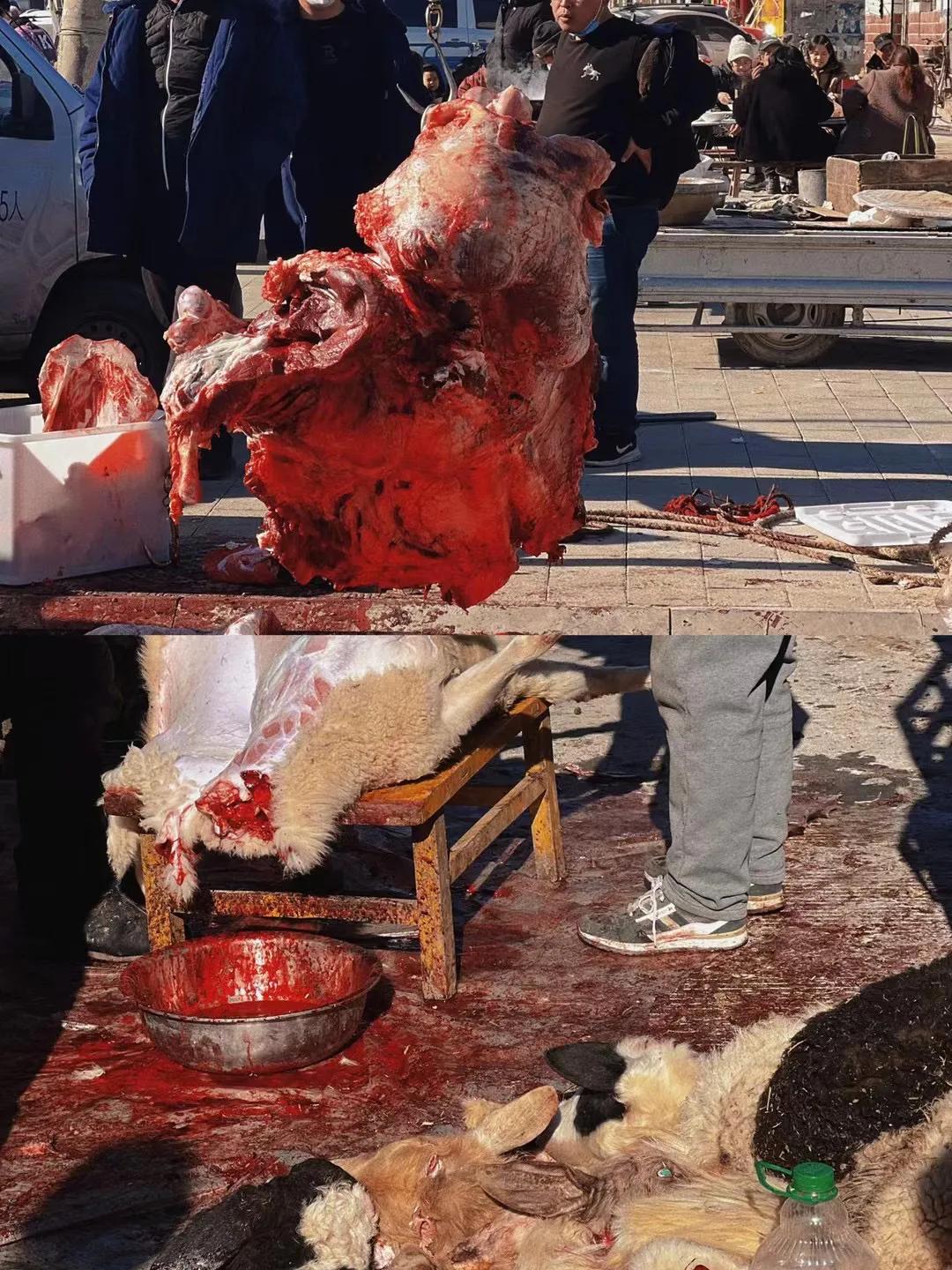 赶大集作文,赶大集视频完整版