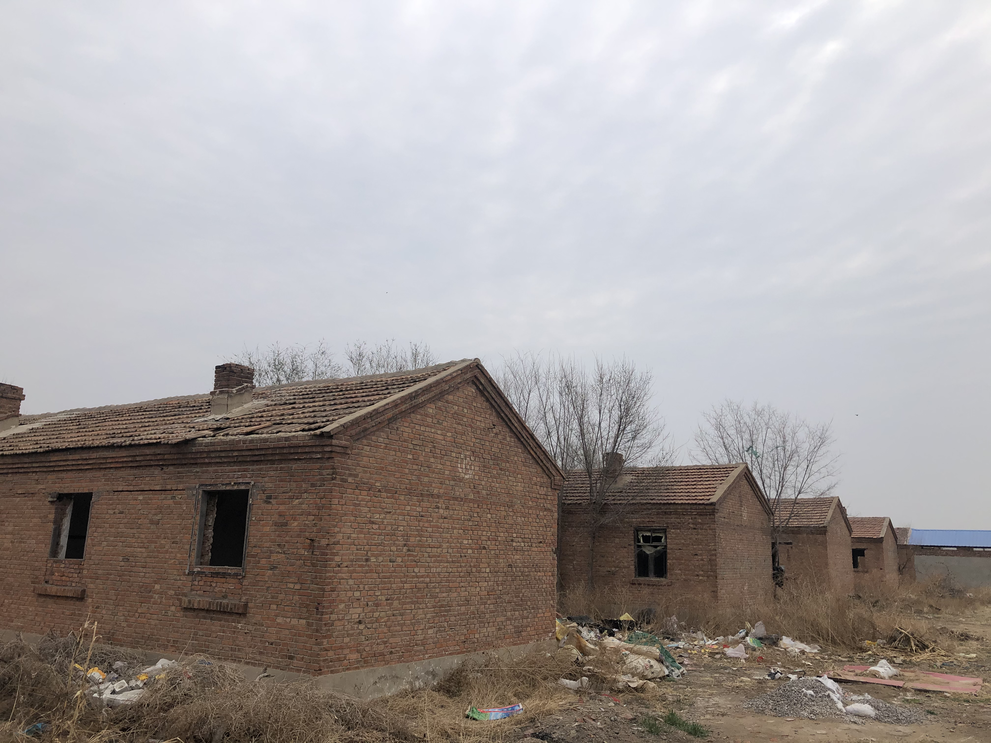 团泊洼，曾经有过一批中国顶级文艺球迷