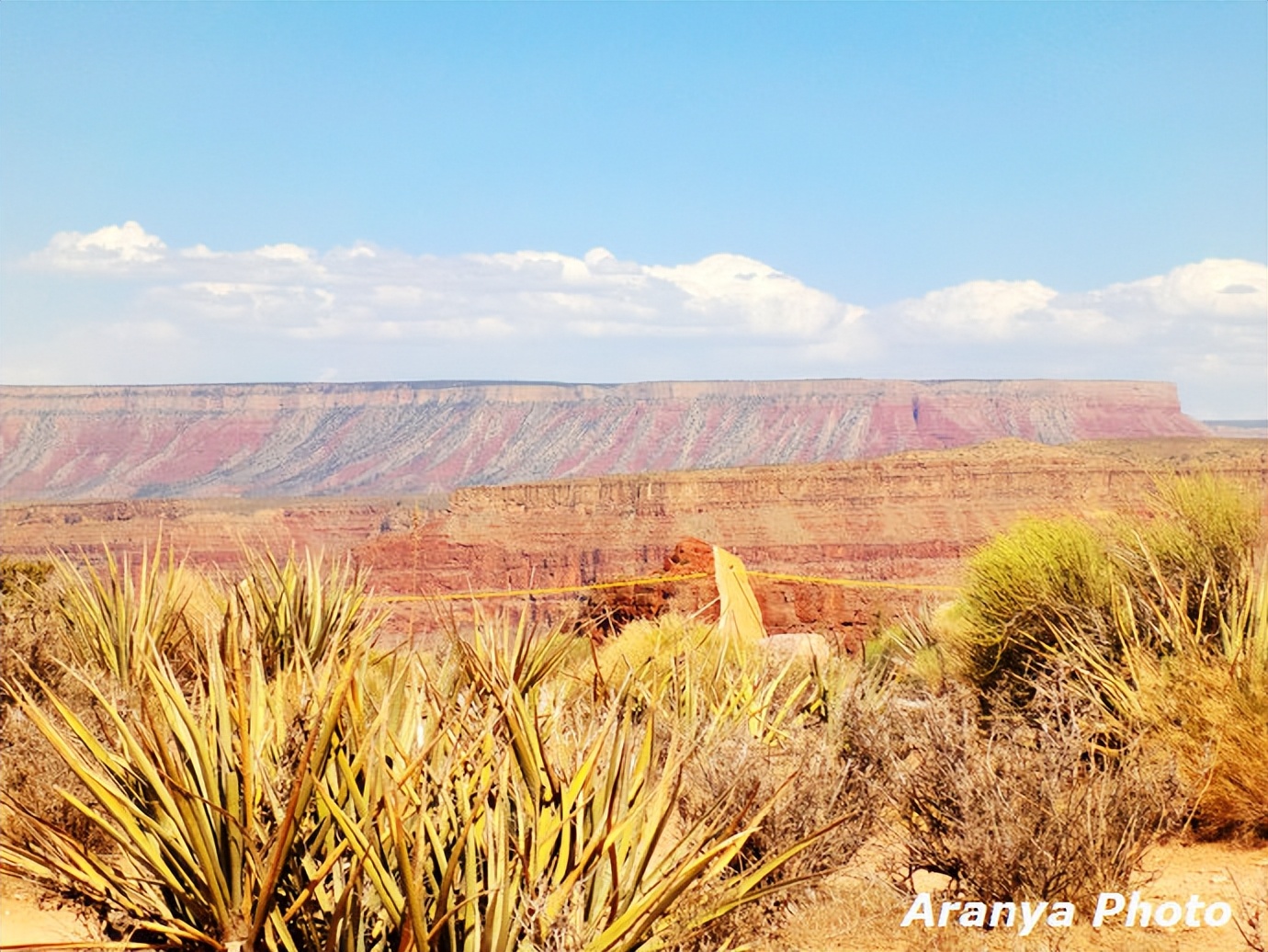 科罗拉多大峡谷飞机航拍,直升飞机体验美国大峡谷