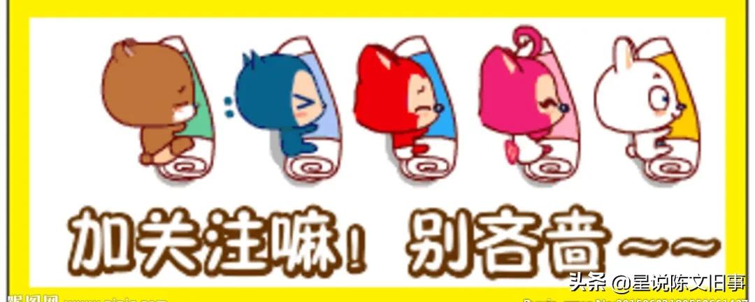 天津十大租界,天津的各大租界