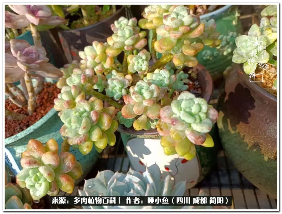 看世间繁华品一生,看世间繁华品人生美味