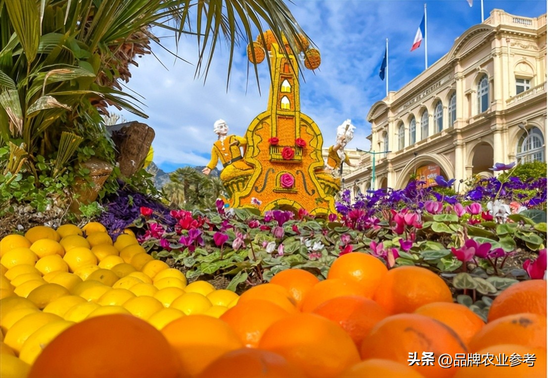 法国地理标志：百余年认证产品不足500个，成为AOC要有多完美？