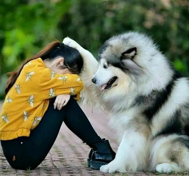 心理咨询师抑郁症疏导方案,如何对抗抑郁的心理咨询师