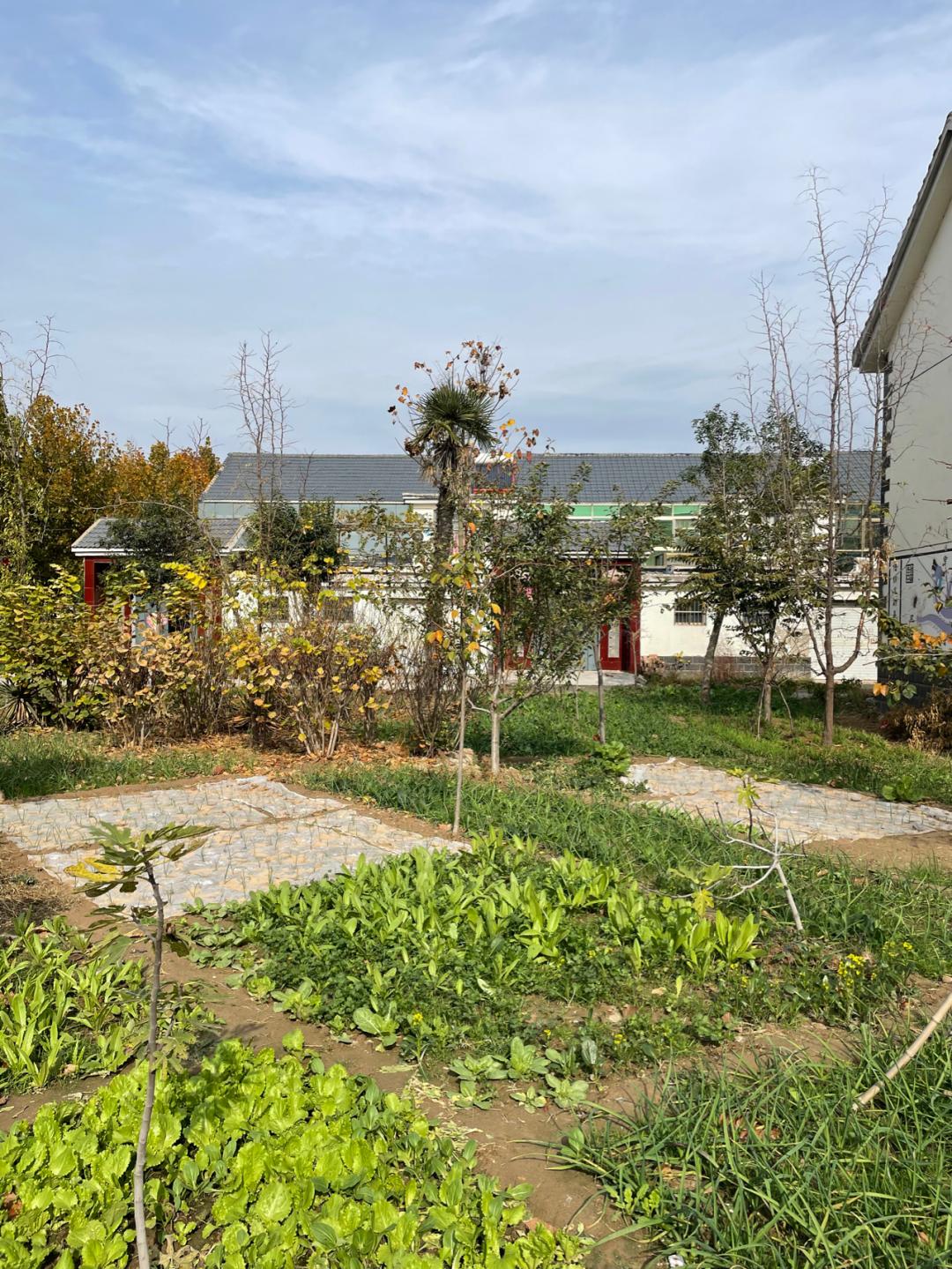 环渤海湾骑行记,环山东骑行日记青岛平度市