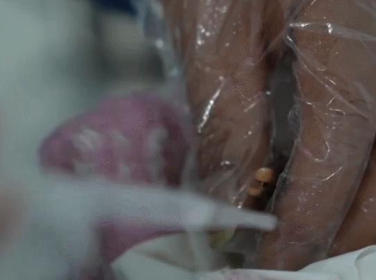 东方宝石朱鹮灭绝了吗,东方宝石朱鹮吃什么