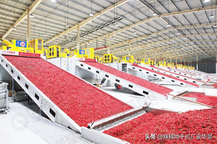 华景智农烘干机视频,华景智农新能源烘干设备