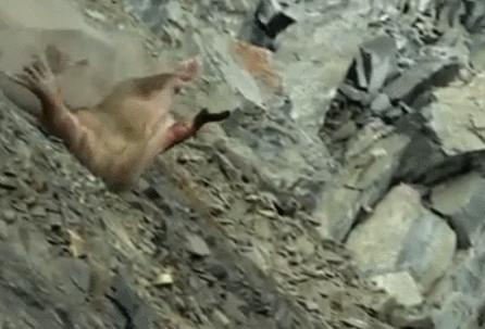 极端高温,灾难的开始…该如何拯救